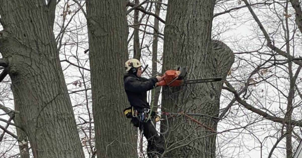 Tree Trimming Company